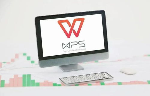 WPS升級(jí)后如何輕松回退至舊版本？詳細(xì)指南助你無憂切換